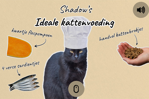 Shadow's recept Information Design Visual Track
